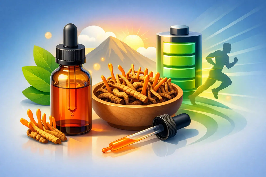 How to Use Cordyceps Tincture for Steady Energy