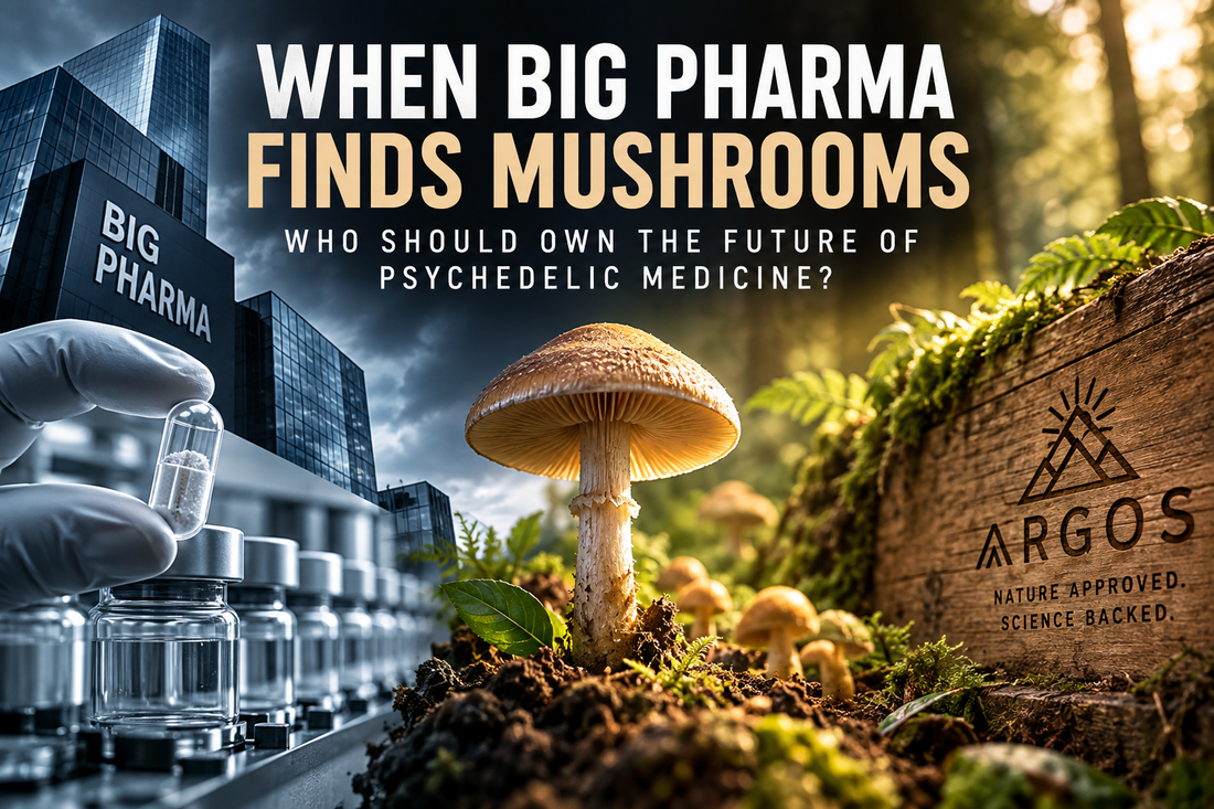     Mushroom between pharmaceutical research and nature representing the future of psychedelic medicine | ARGOS